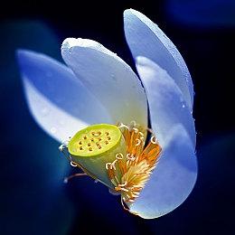 《红色沙漠》28分钟全新实机 三巨头Boss战设曝光